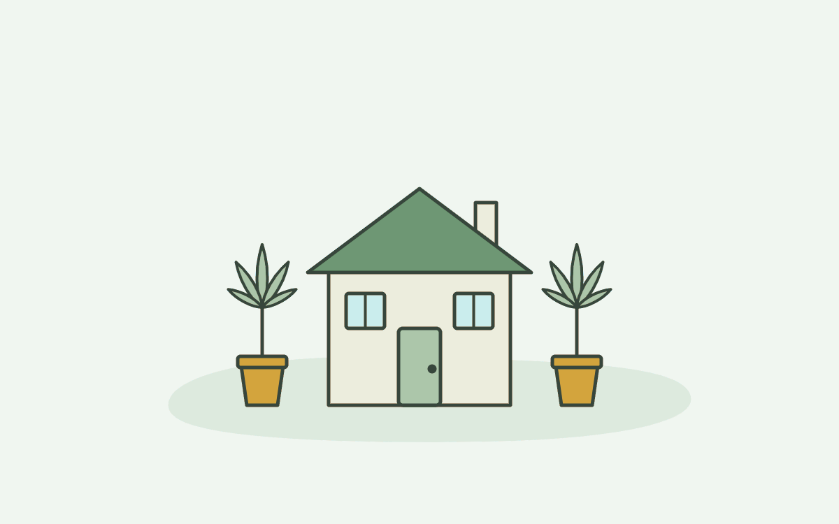 Illustratie: huisje met twee cannabisplanten